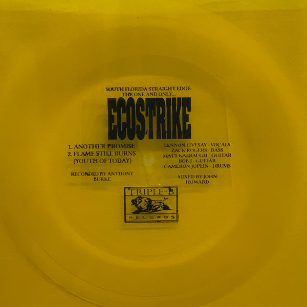 ECOSTRIKE - Another Promise b/w Flame Still Burns 7" Flexi